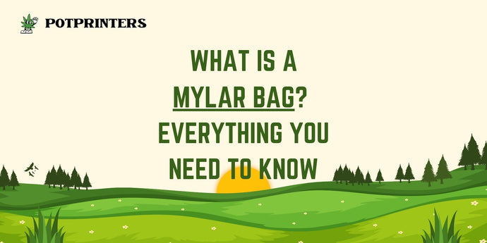 What is a Mylar Bag? Everything You Need to Know