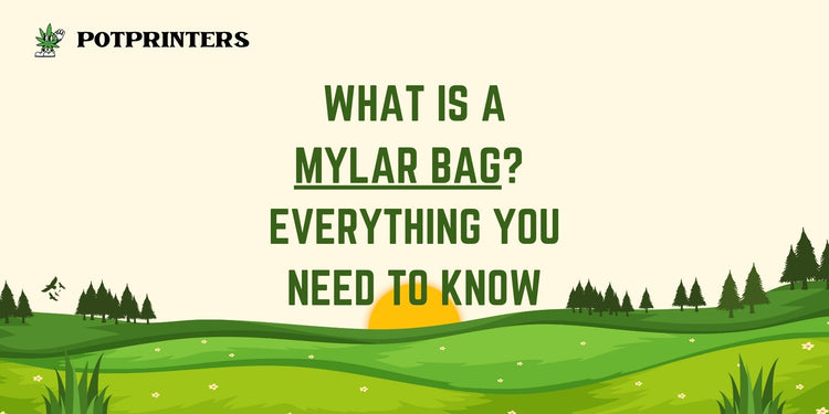 what is a mylar bag