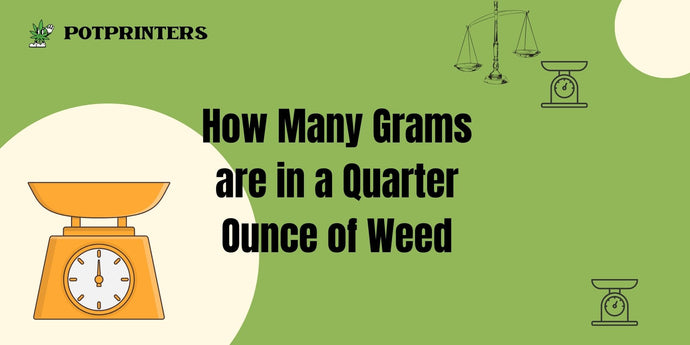 How Many Grams are in a Quarter Ounce of Weed